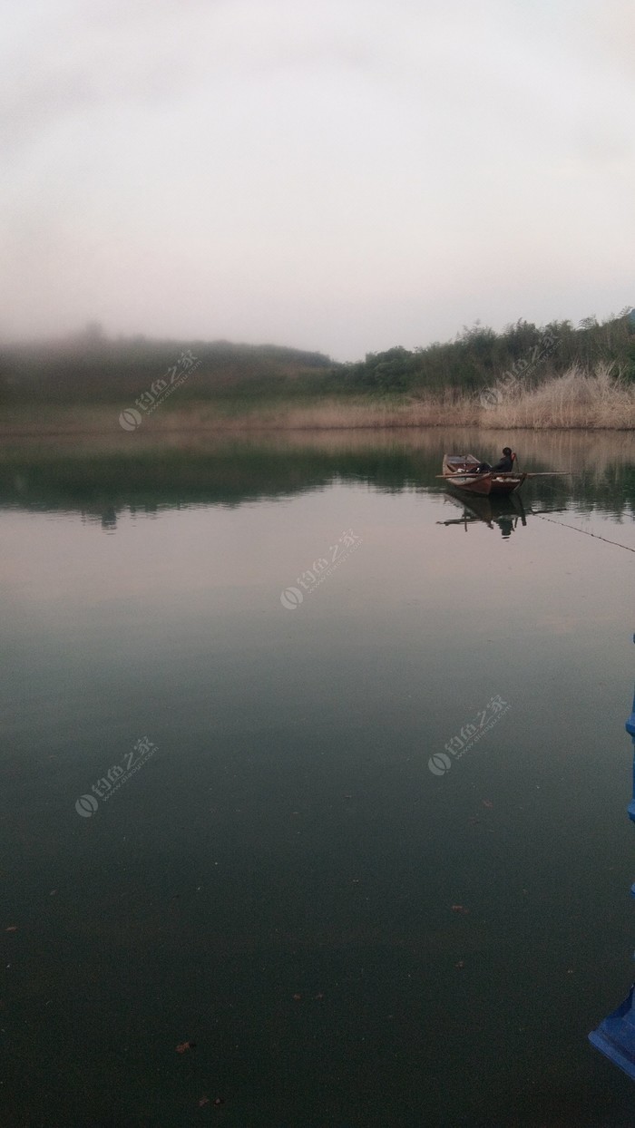 夏营水库最新动态，发展与保护的和谐共进之路