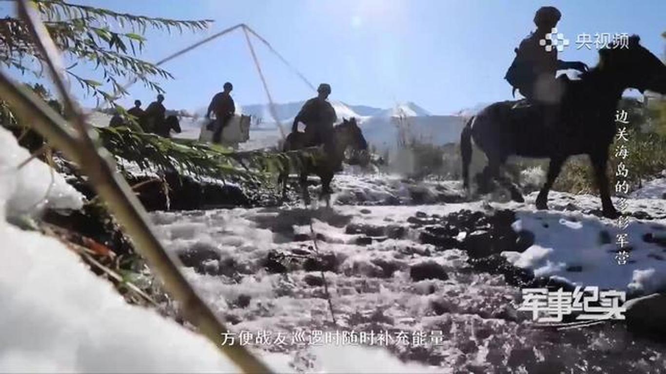 最新军事报道与绿色征途，探索自然美景的心灵之旅