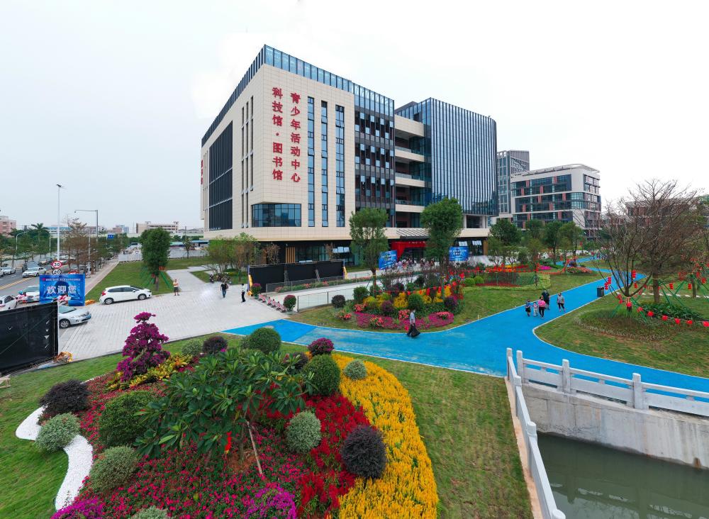 青年华都最新动态详解，任务完成与技能学习指南