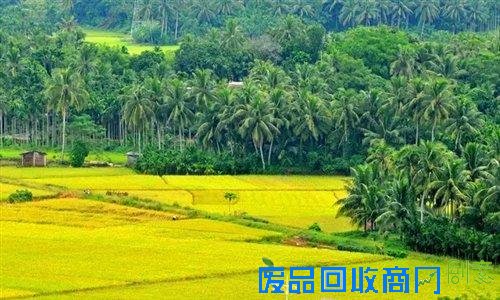 琼海个人土地出售最新，自然美景的探索与治愈之旅