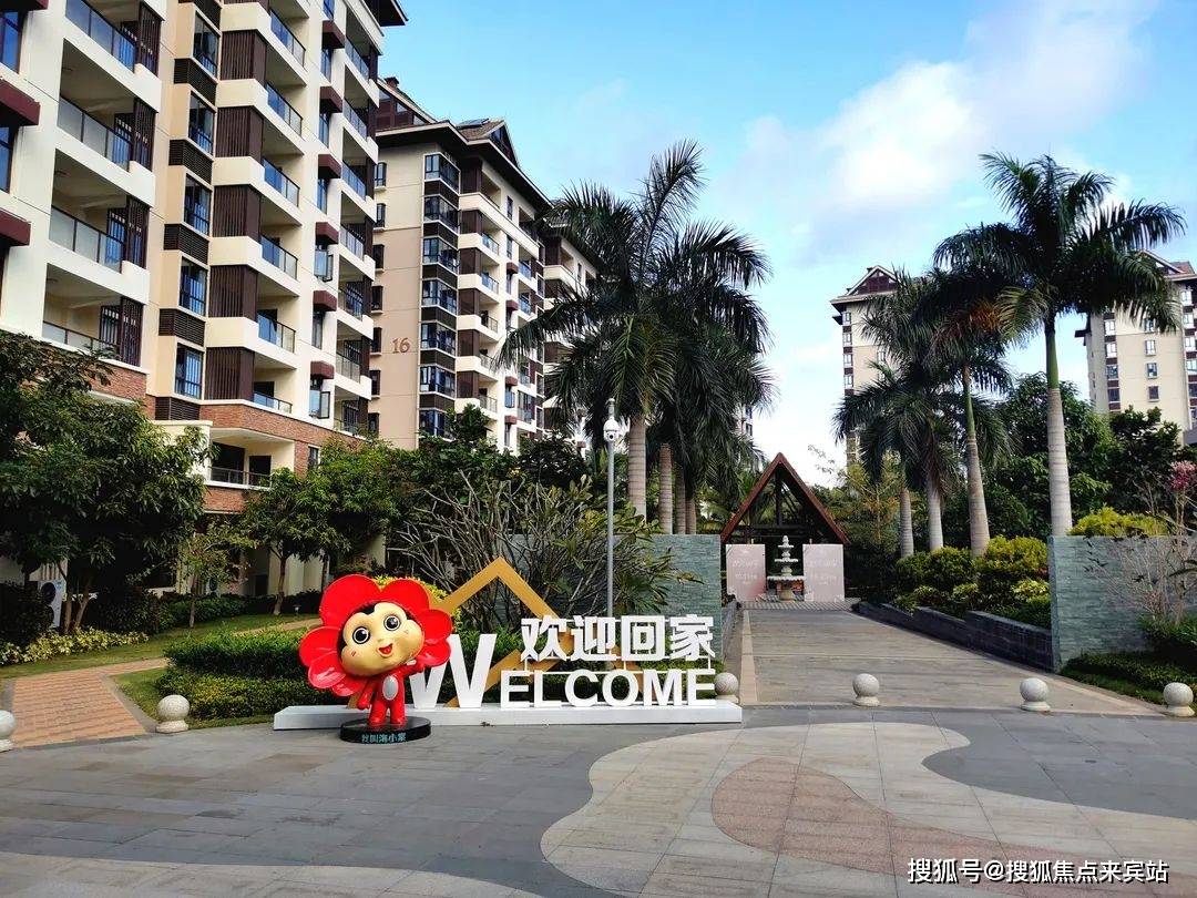 海南花梨湾最新动态揭秘，海湾的温馨日常风采